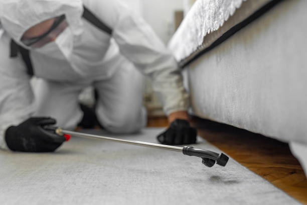 Professional Emergency Pest Control technician working in East Harwich, MA